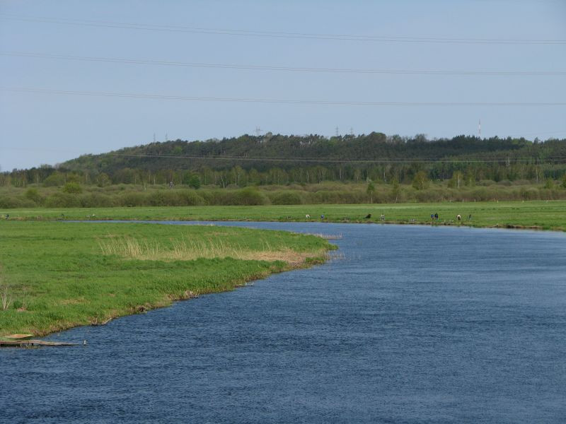 Rzeka Noteć